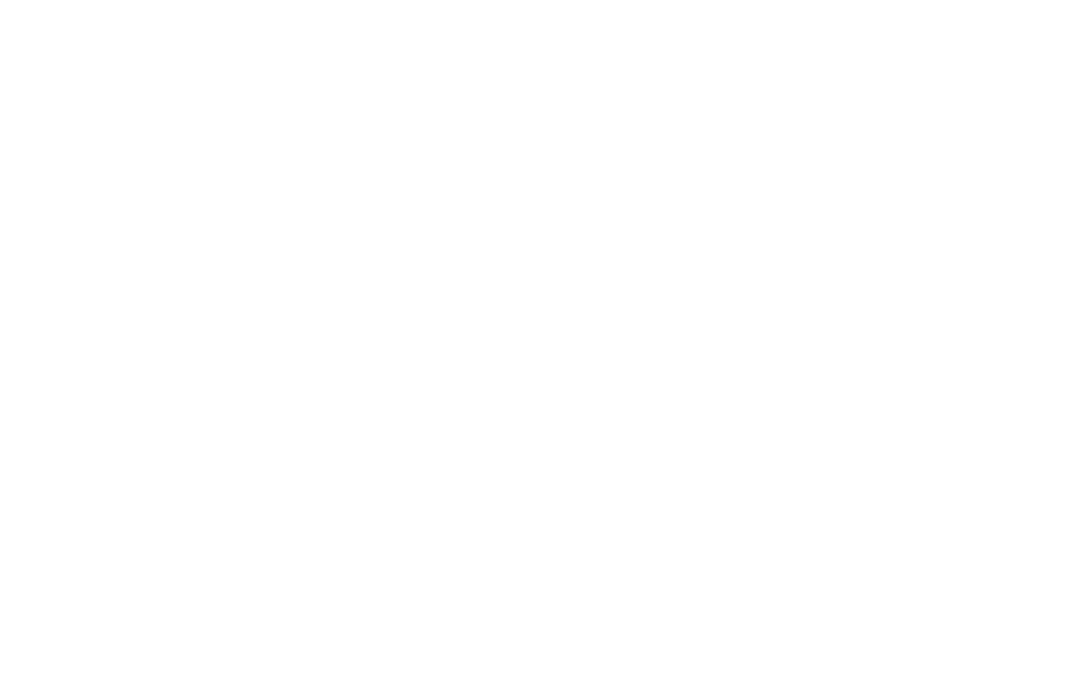 Feldman Law Offices Logo 4